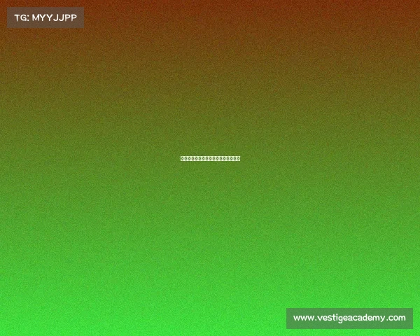 《奇游枪火重燃：征战之路全新启航》